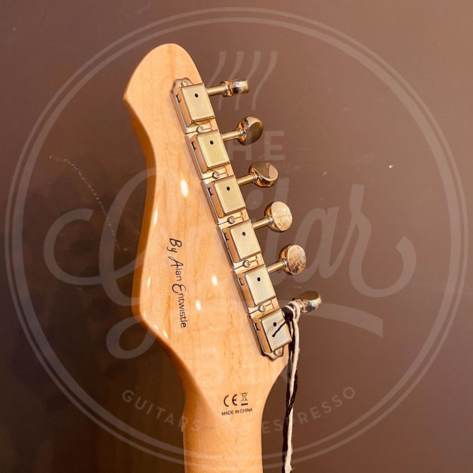 Revelation RJT-60 B VI string bass sunburst