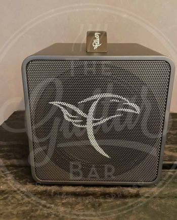 Falken1 traveller 40 watt accu acoustic guitar amp