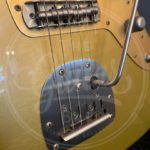 Del-Tone FM-style gold Descendant vibrato incl hardacse