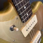 Del-Tone FM-style gold Descendant vibrato incl hardacse