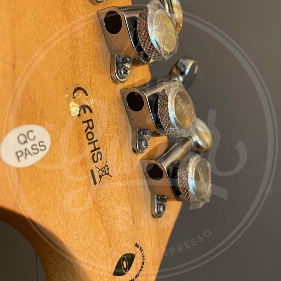 Jet Guitars JT350BSC
