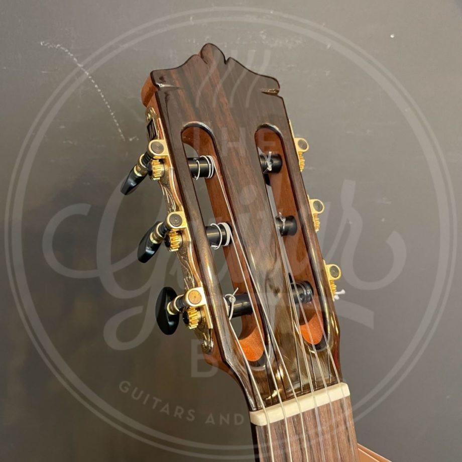 Martinez Standard Series classic guitar, solid spruce top, mahogany b&s, pau ferro fb, Fishman Presys II