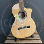 Martinez Standard Series classic guitar, solid spruce top, mahogany b&s, pau ferro fb, Fishman Presys II