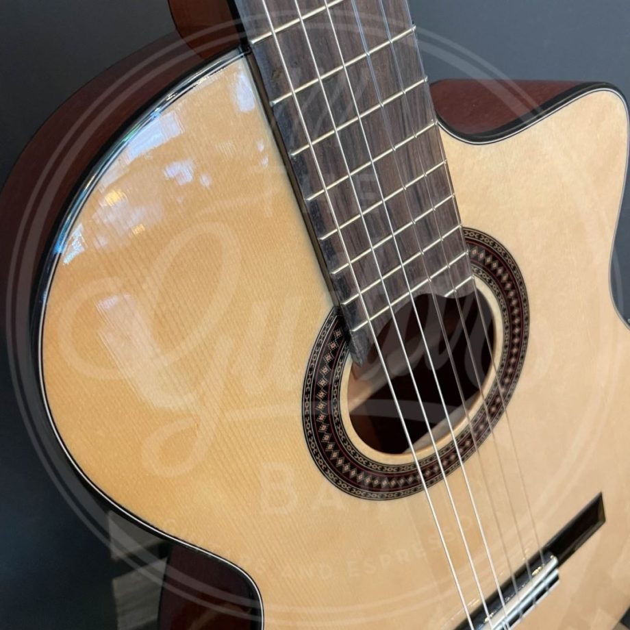Martinez Standard Series classic guitar, solid spruce top, mahogany b&s, pau ferro fb, Fishman Presys II