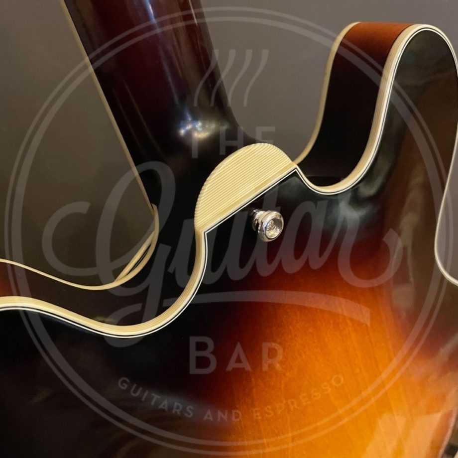 Eastman T60/TV lollar P90 dogear pu