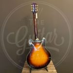 Eastman T60/TV lollar P90 dogear pu