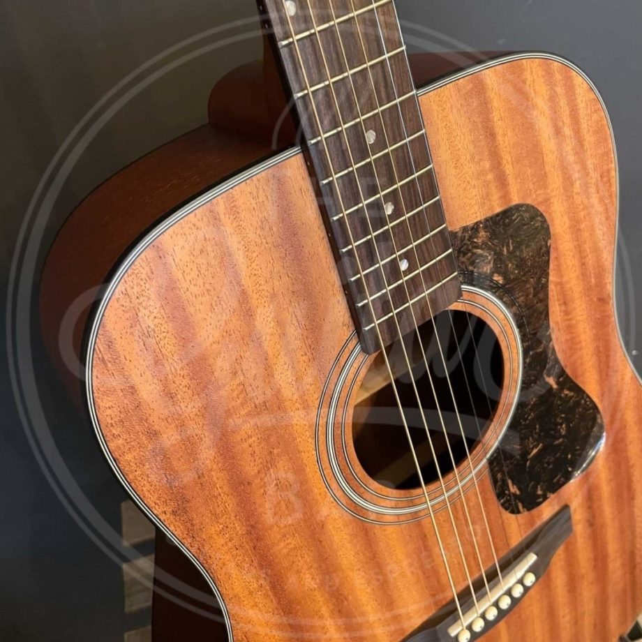 Guild D-320 NAT