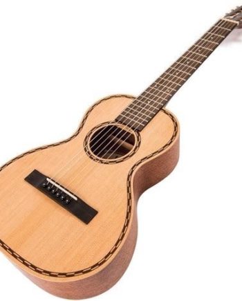 VINTAGE VIATOR NYLON STRUNG GUITAR AND BAG - BY PAUL BRETT