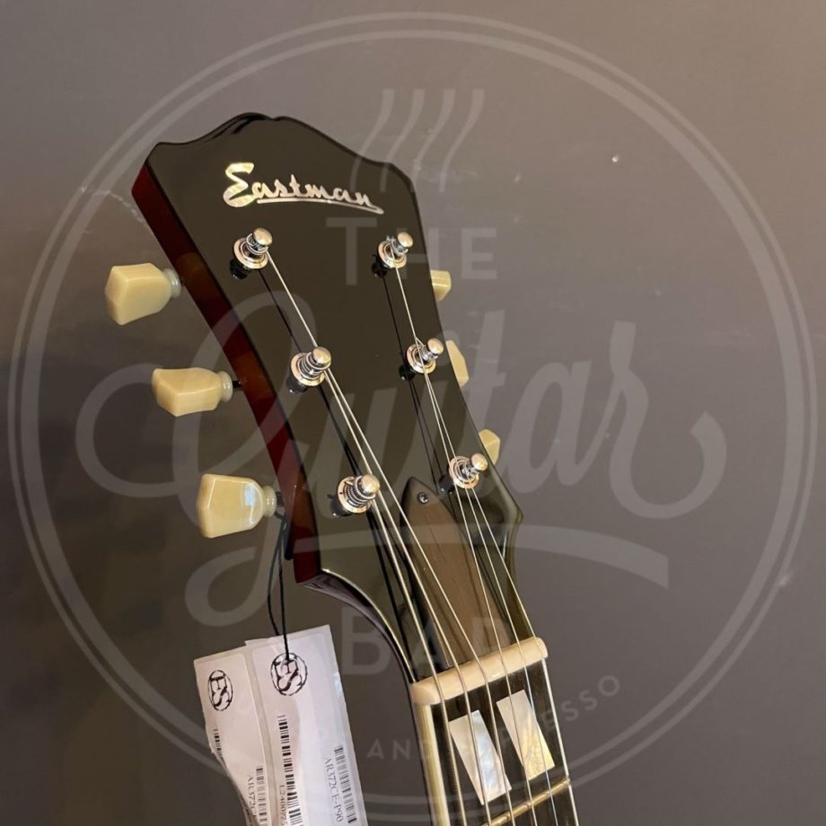 Eastman AR372CE tonerrider P90 pu