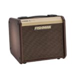 Fishman LoudBox / Micro