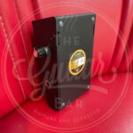 Beetronics Swarm