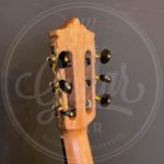 Martinez B-stock guitar with minor finishing flaws
