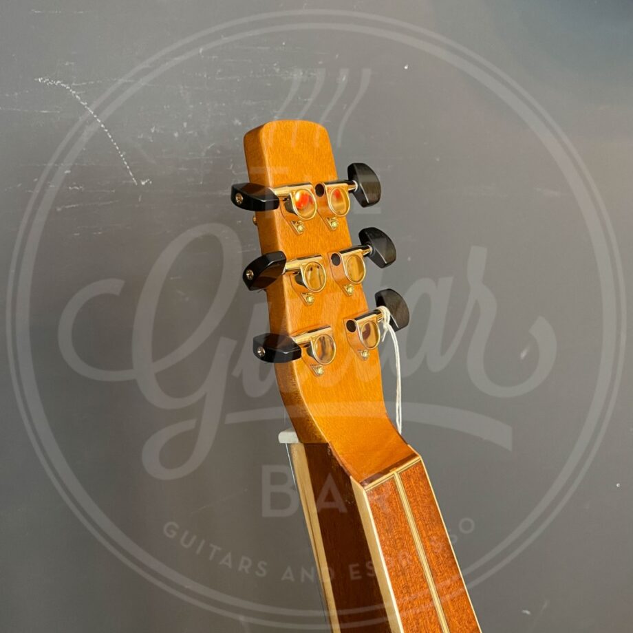 Anderwood AW-OOM lap slide guitar with LRBaggs M1