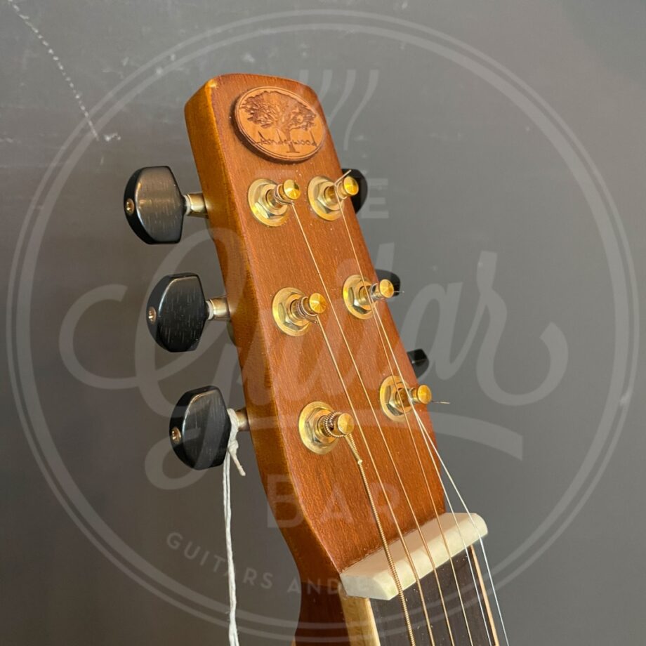 Anderwood AW-OOM lap slide guitar with LRBaggs M1