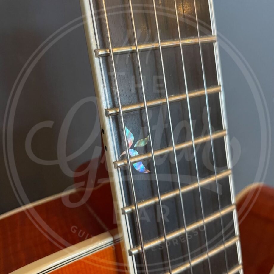 Benedetto Bravo Deluxe
