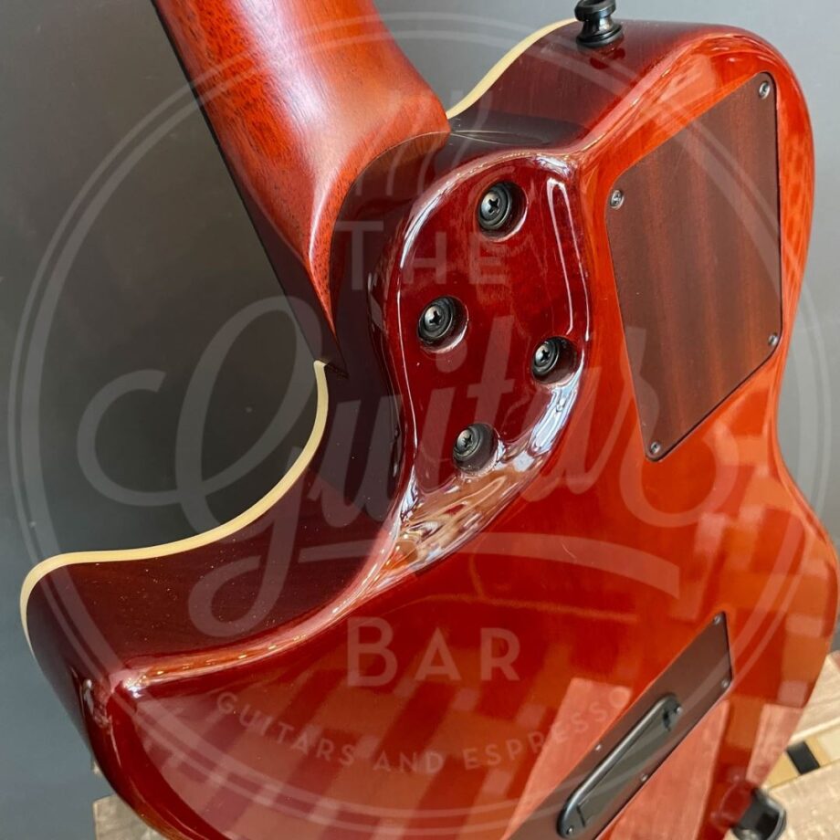 Godin Multiac Nylon