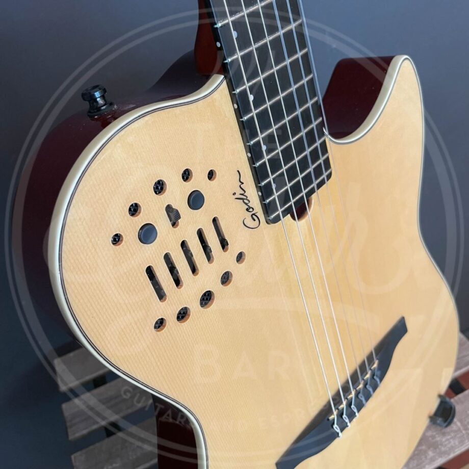 Godin Multiac Nylon