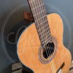 Martinez B-stock guitar with minor finishing flaws