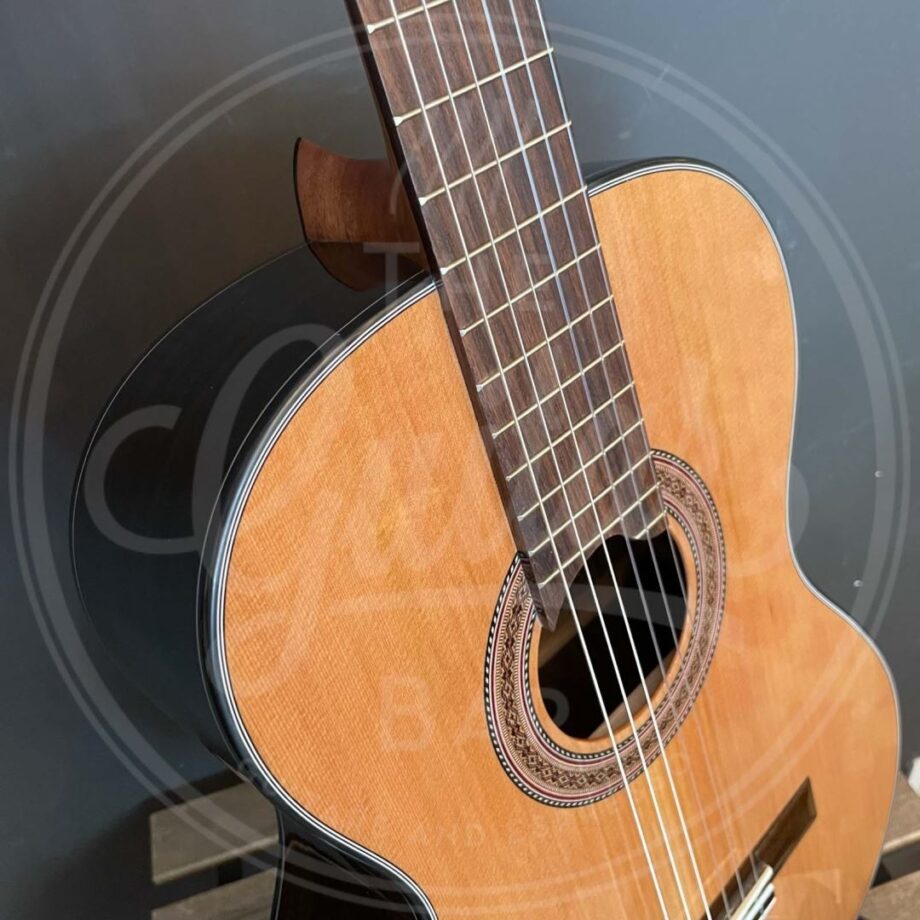 Martinez B-stock guitar with minor finishing flaws