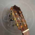 Martinez B-stock guitar with minor finishing flaws