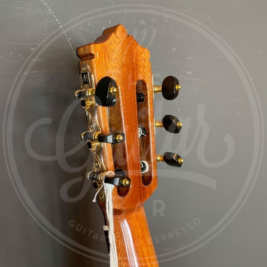 Martinez B/MC88S SPRUCE TOP