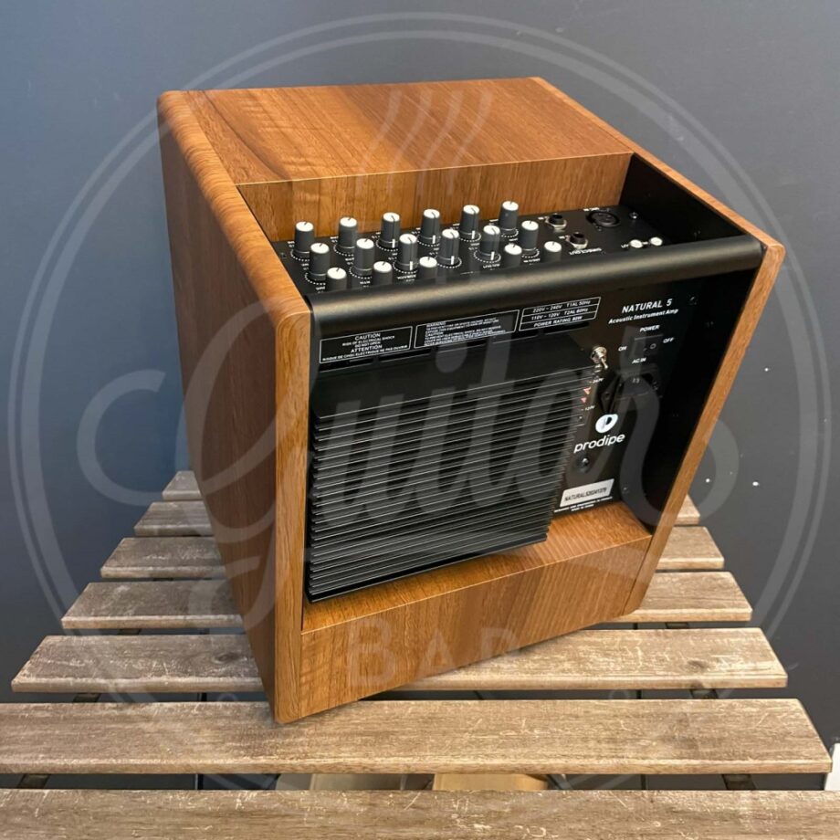 Prodipe Acoustic Instrument Amp NATURAL 5 V2 WALNUT WOOD