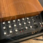 Prodipe Acoustic Instrument Amp NATURAL 5 V2 WALNUT WOOD