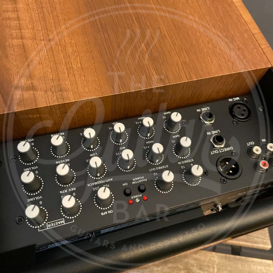 Prodipe Acoustic Instrument Amp NATURAL 5 V2 WALNUT WOOD