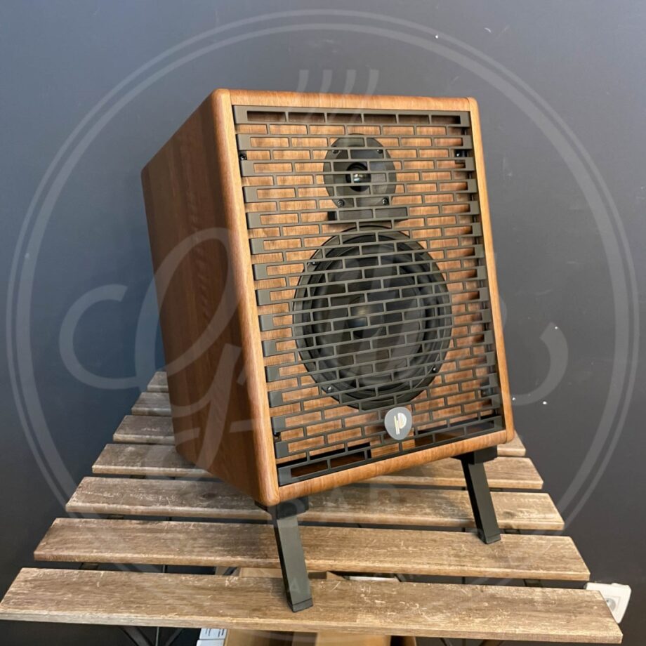 Prodipe Acoustic Instrument Amp NATURAL 6 v2 WALNUT WOOD