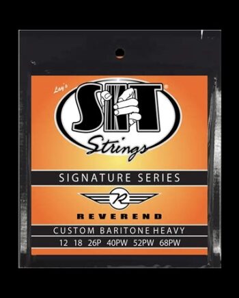 Reverend Disnature SIT Descent Baritone strings