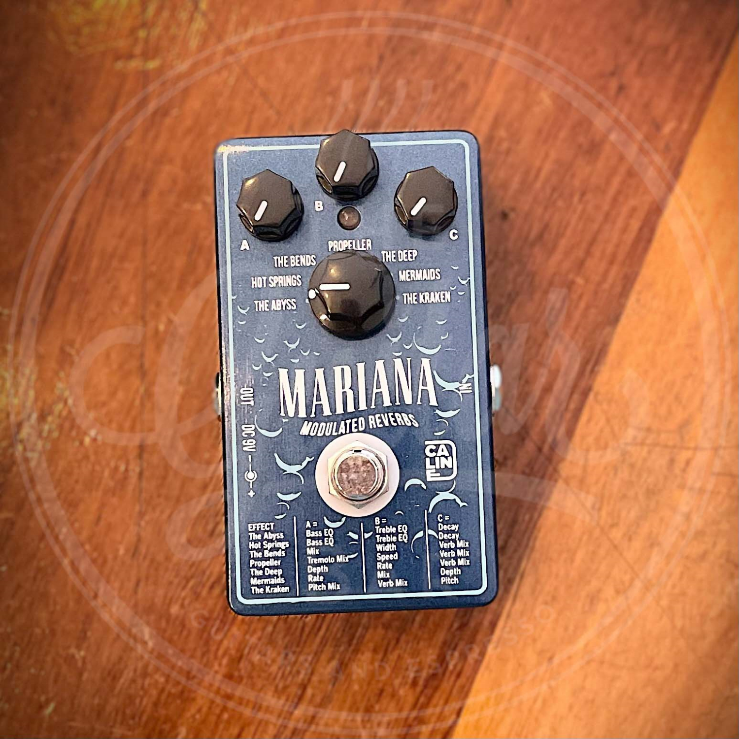 Caline Mariana Reverb