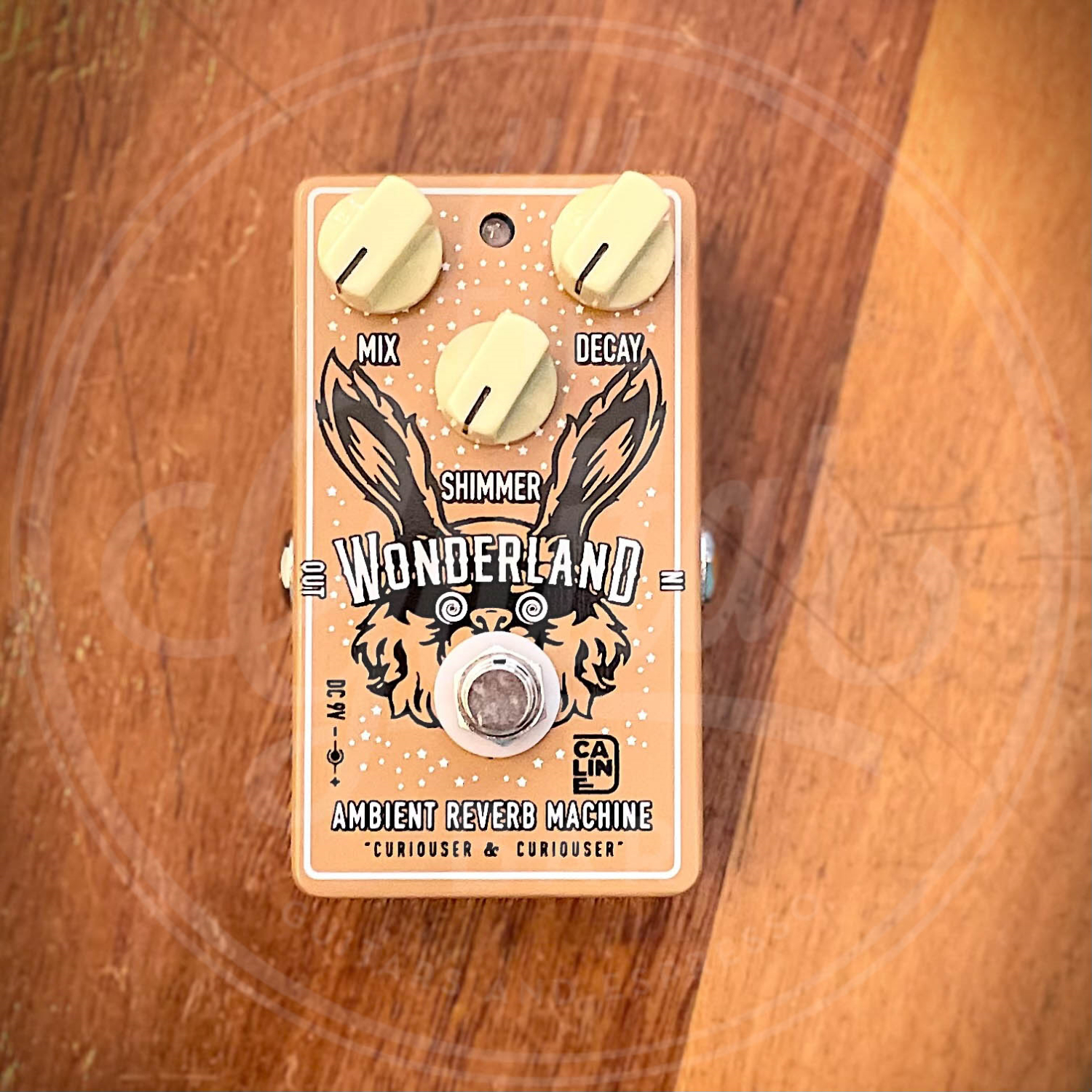 Caline Wonderland Reverb