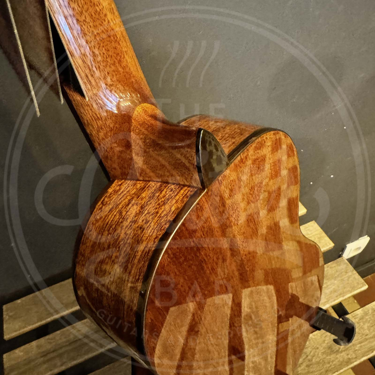 Salvador Cortez Iberia Series classic guitar solid Canadian cedar top + sapele, glossy finish - PARVULO 470mm scale