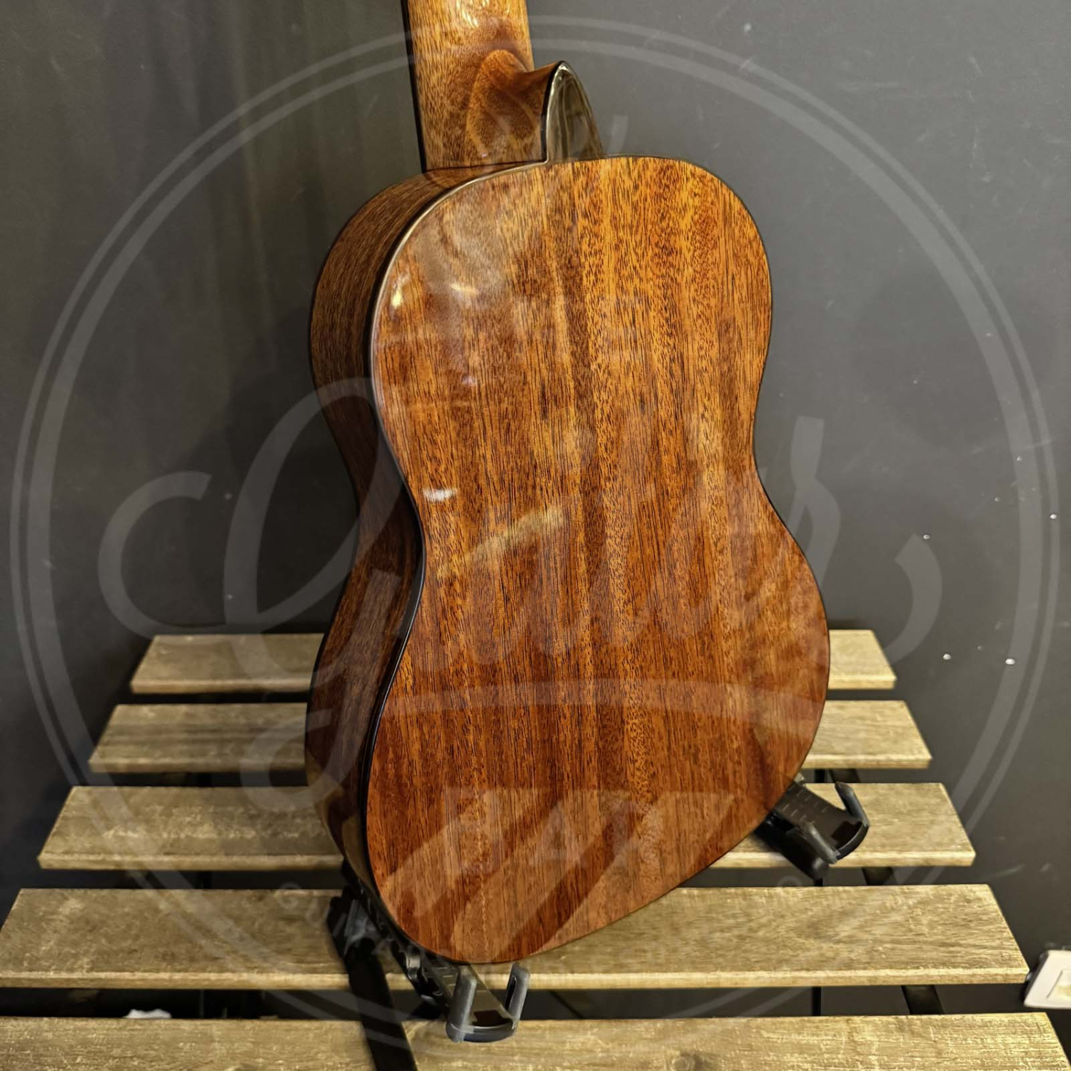 Salvador Cortez Iberia Series classic guitar solid Canadian cedar top + sapele, glossy finish - PARVULO 470mm scale