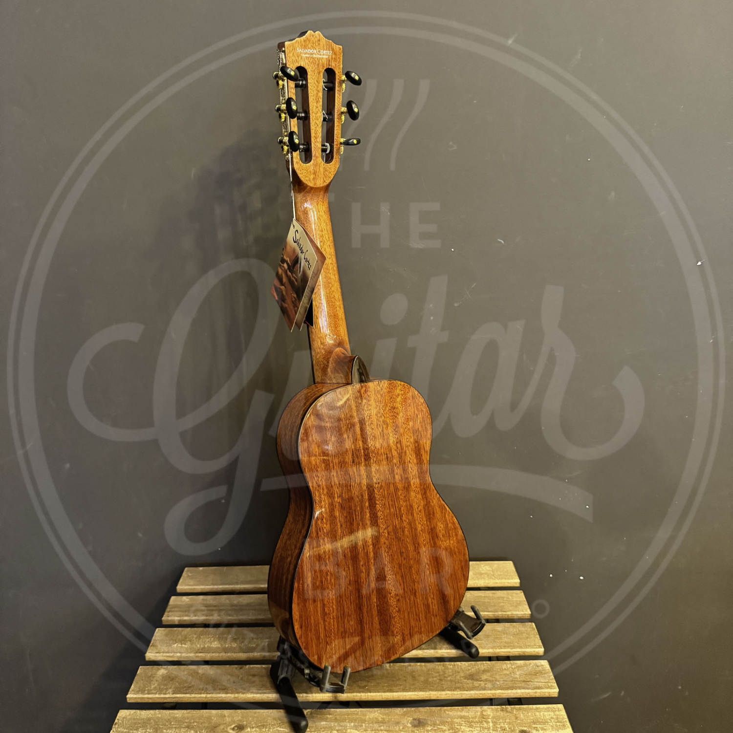 Salvador Cortez Iberia Series classic guitar solid Canadian cedar top + sapele, glossy finish - PARVULO 470mm scale