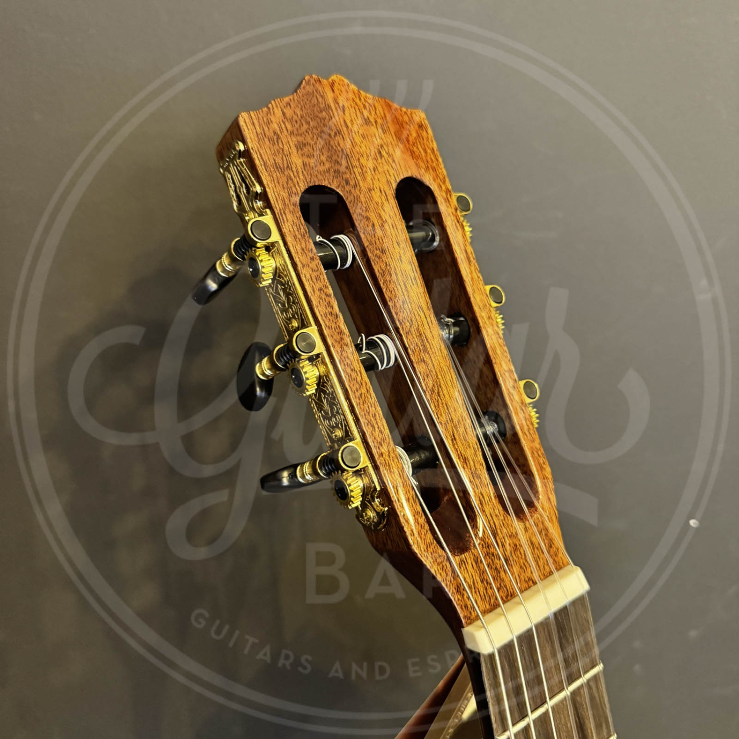 Salvador Cortez Iberia Series classic guitar solid Canadian cedar top + sapele, glossy finish - PARVULO 470mm scale